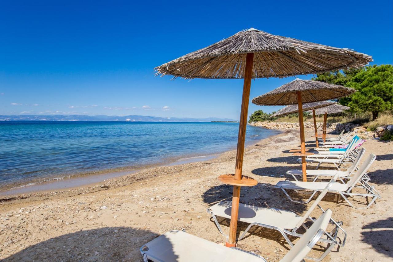 Marti Resort سكالا سوتيروس المظهر الخارجي الصورة