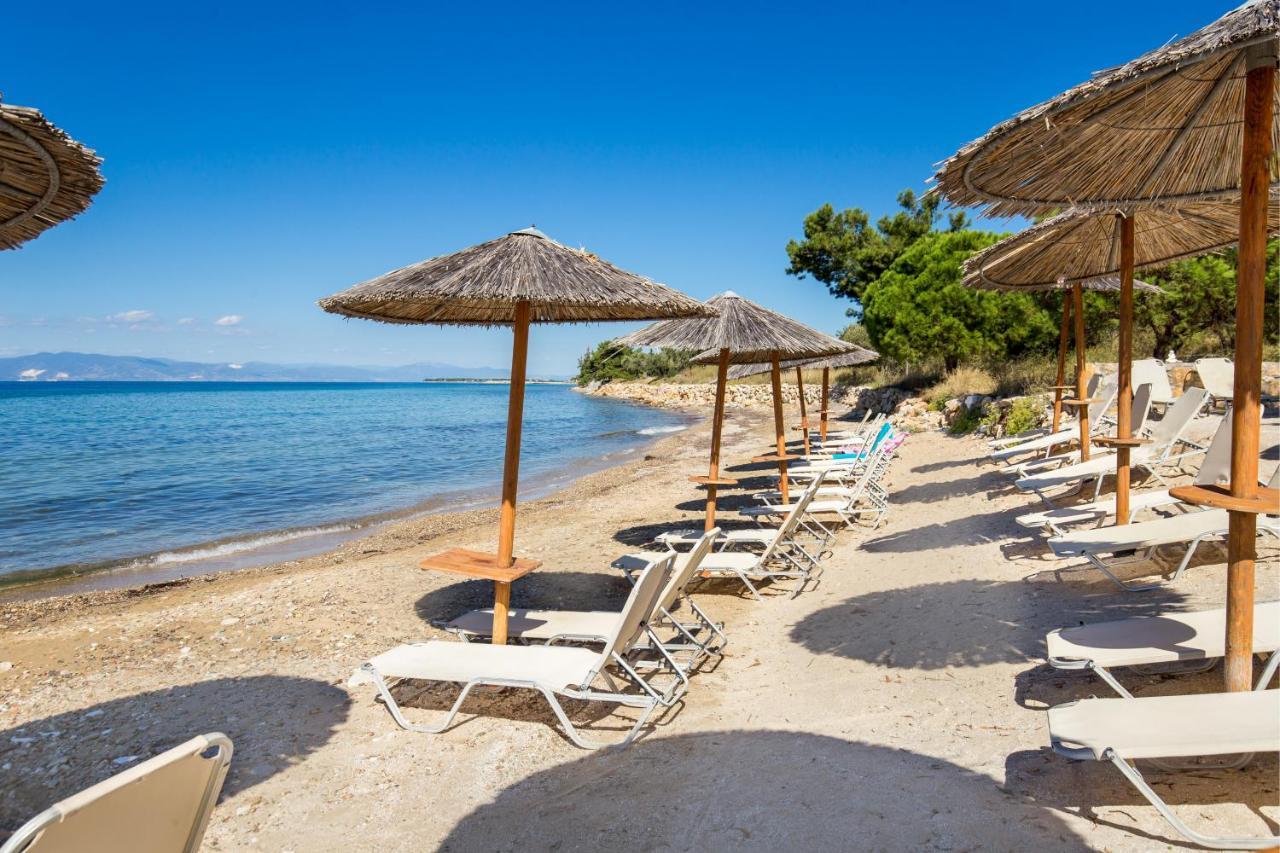 Marti Resort سكالا سوتيروس المظهر الخارجي الصورة