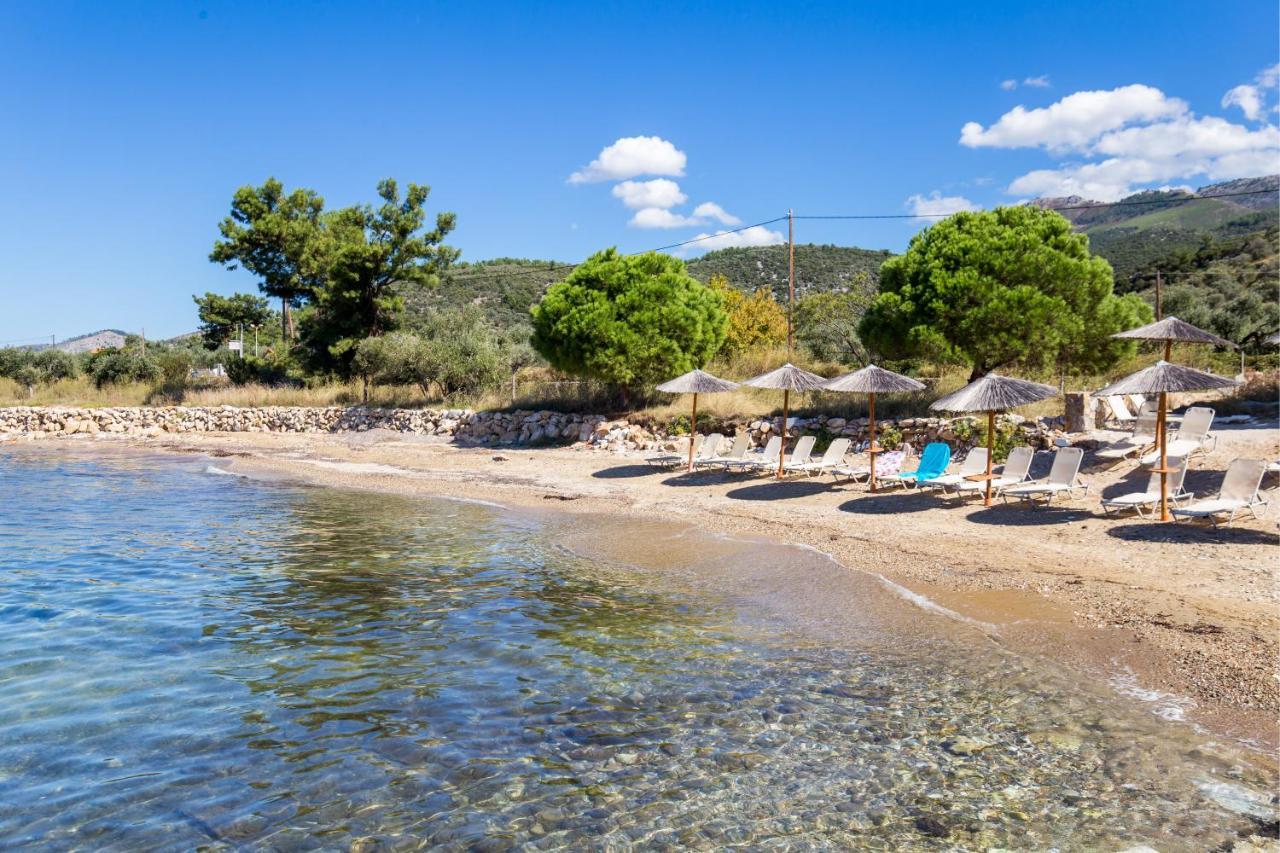 Marti Resort سكالا سوتيروس المظهر الخارجي الصورة